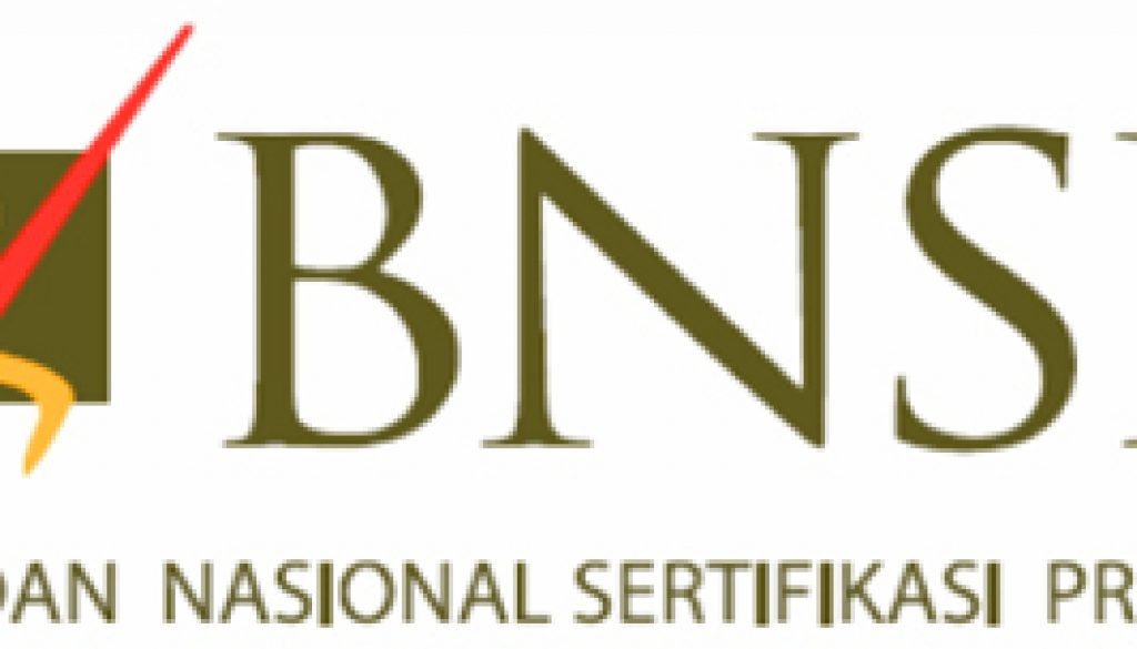 logobnsp